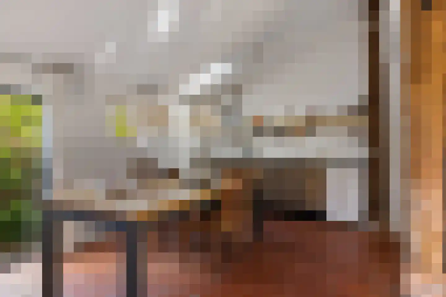 Zwienhemsdijk 4 a Eexterzandvoort thumbnail 45