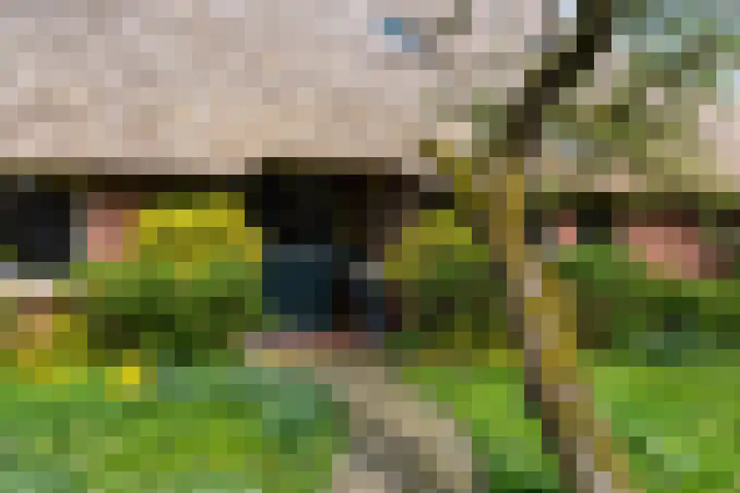 Zwienhemsdijk 4 a Eexterzandvoort thumbnail 5