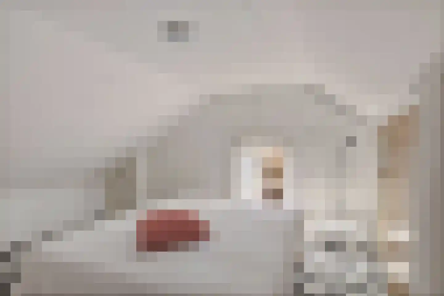 Zwienhemsdijk 4 a Eexterzandvoort thumbnail 51