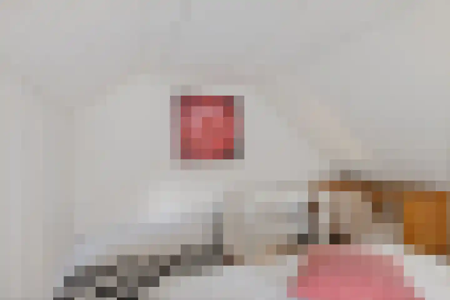 Zwienhemsdijk 4 a Eexterzandvoort thumbnail 52
