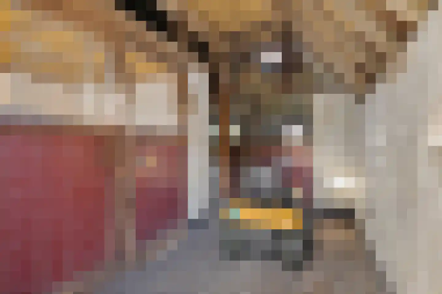 Zwienhemsdijk 4 a Eexterzandvoort thumbnail 54