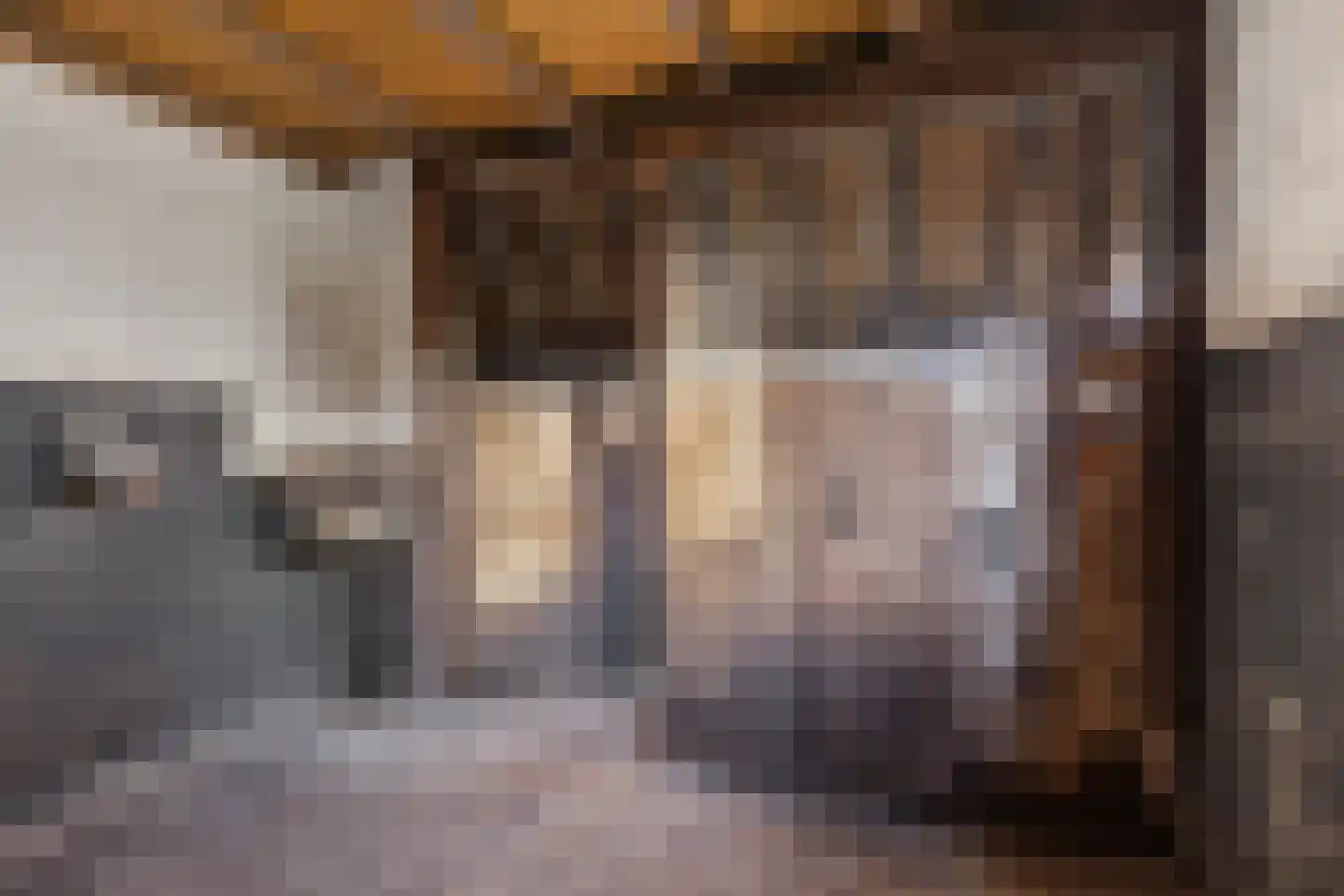 Zwienhemsdijk 4 a Eexterzandvoort thumbnail 55