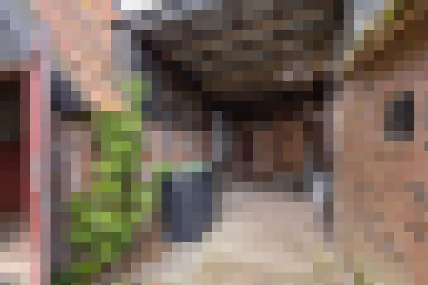 Zwienhemsdijk 4 a Eexterzandvoort thumbnail 57