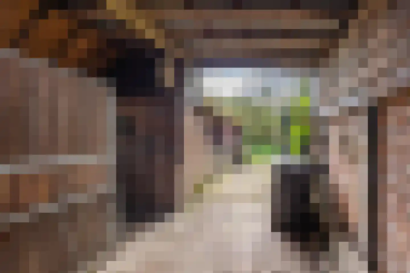 Zwienhemsdijk 4 a Eexterzandvoort thumbnail 58
