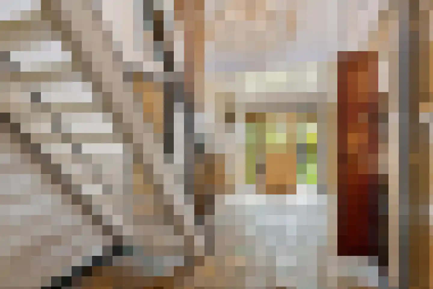Zwienhemsdijk 4 a Eexterzandvoort thumbnail 6