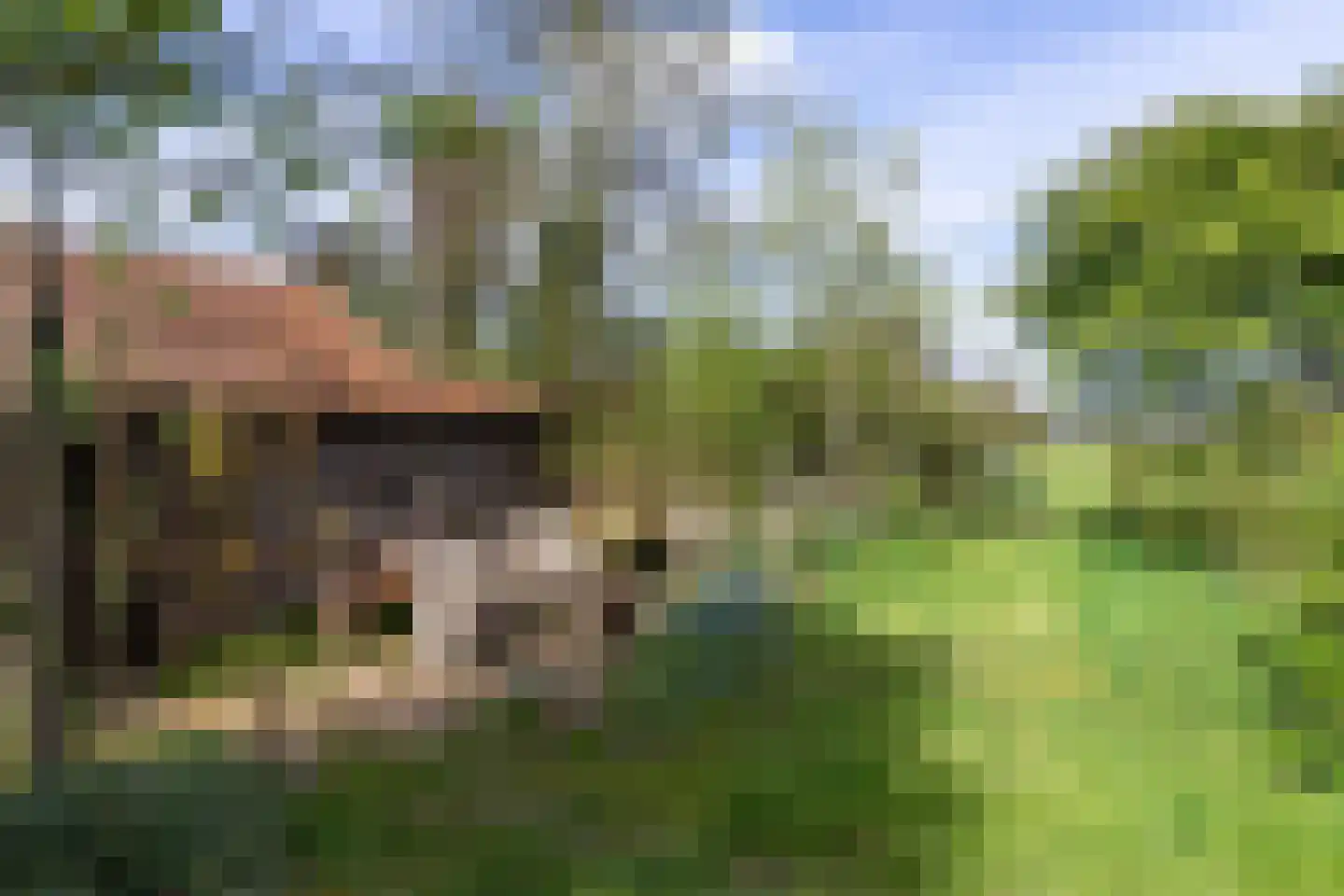 Zwienhemsdijk 4 a Eexterzandvoort thumbnail 60