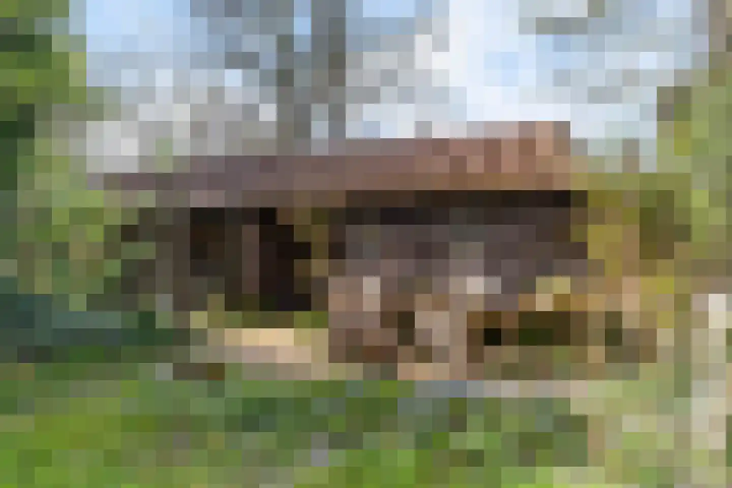 Zwienhemsdijk 4 a Eexterzandvoort thumbnail 61