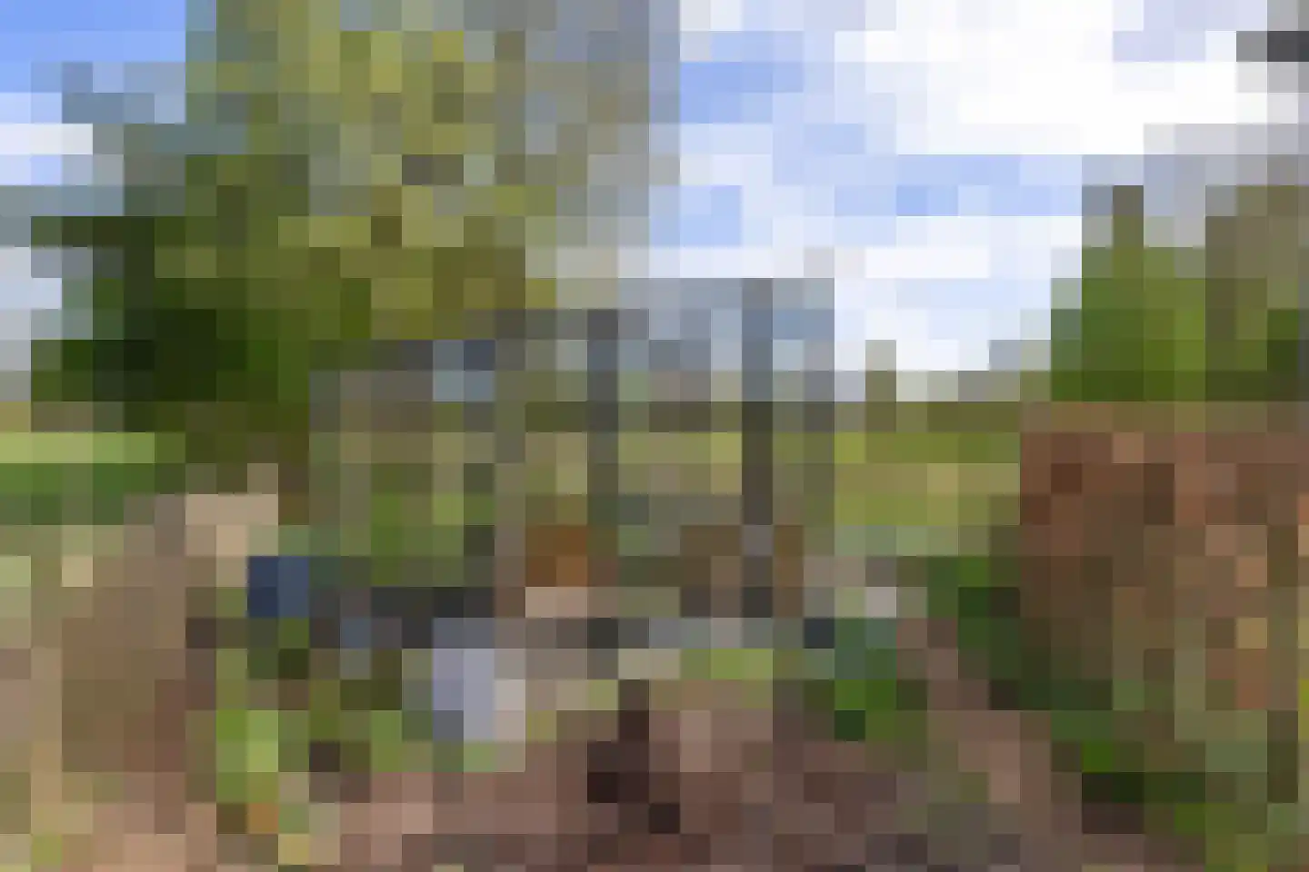 Zwienhemsdijk 4 a Eexterzandvoort thumbnail 64