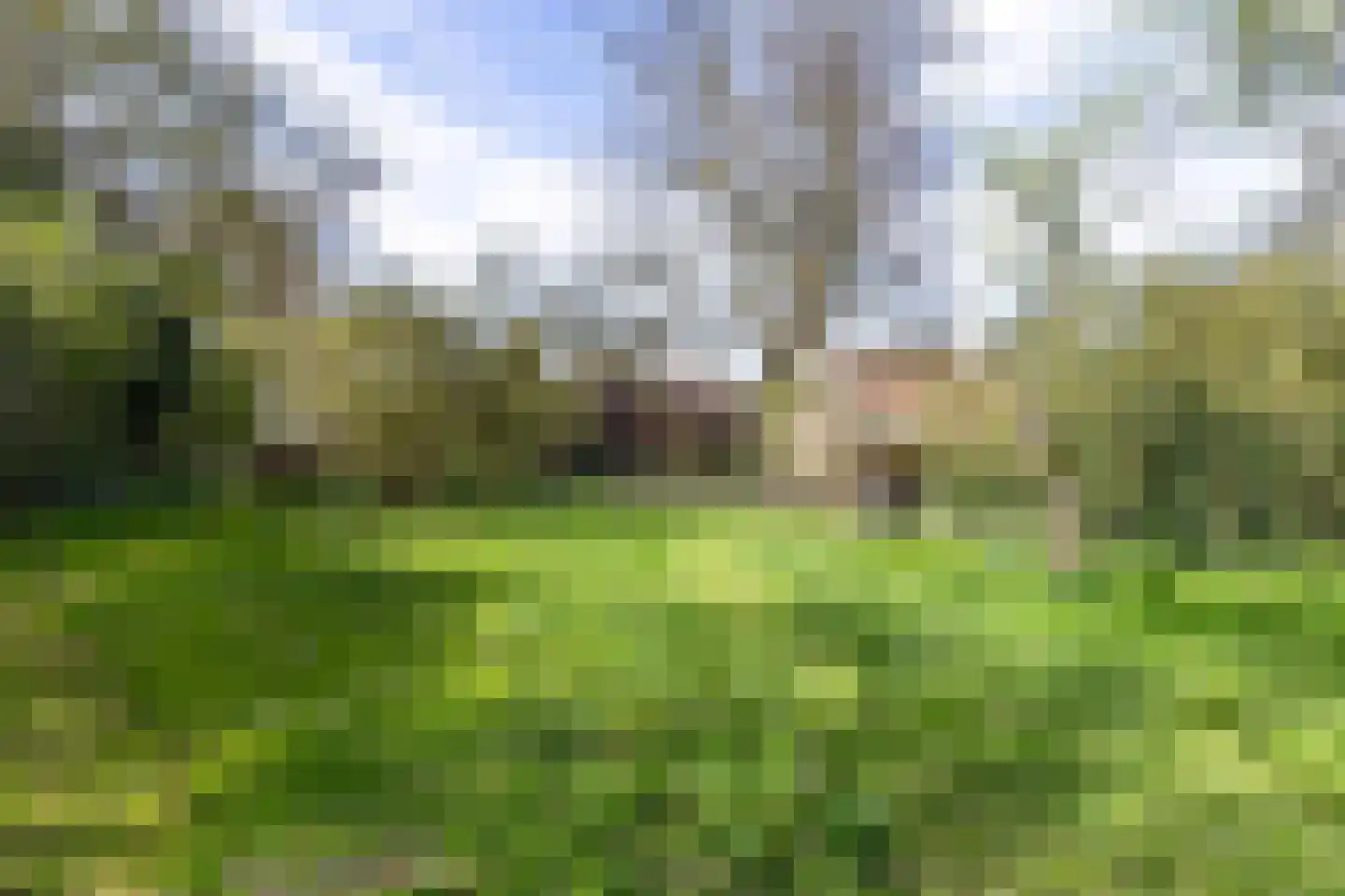 Zwienhemsdijk 4 a Eexterzandvoort thumbnail 69