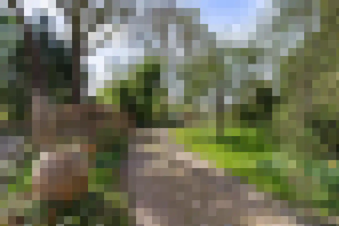 Zwienhemsdijk 4 a Eexterzandvoort thumbnail 72