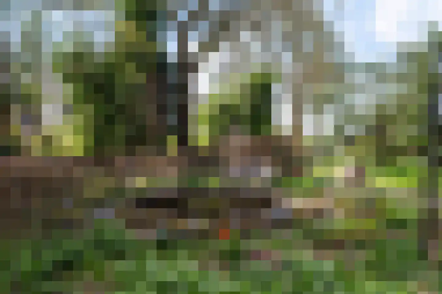 Zwienhemsdijk 4 a Eexterzandvoort thumbnail 73