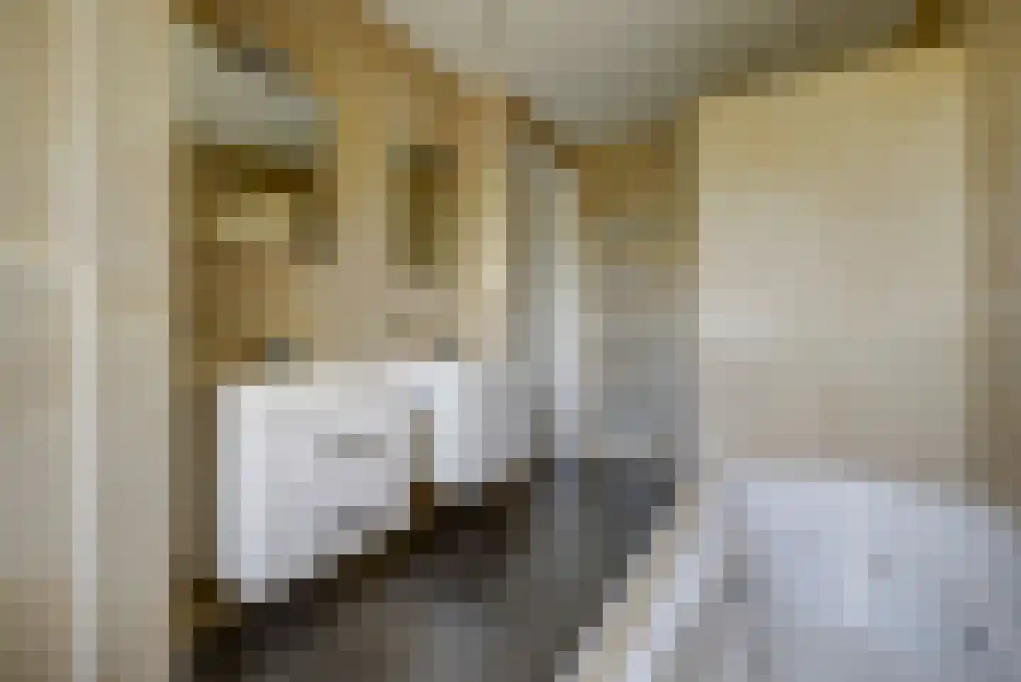 Zwiepseweg 11 Lochem thumbnail 17