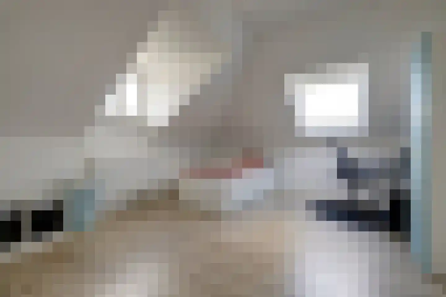 Zwiepseweg 11 Lochem thumbnail 21