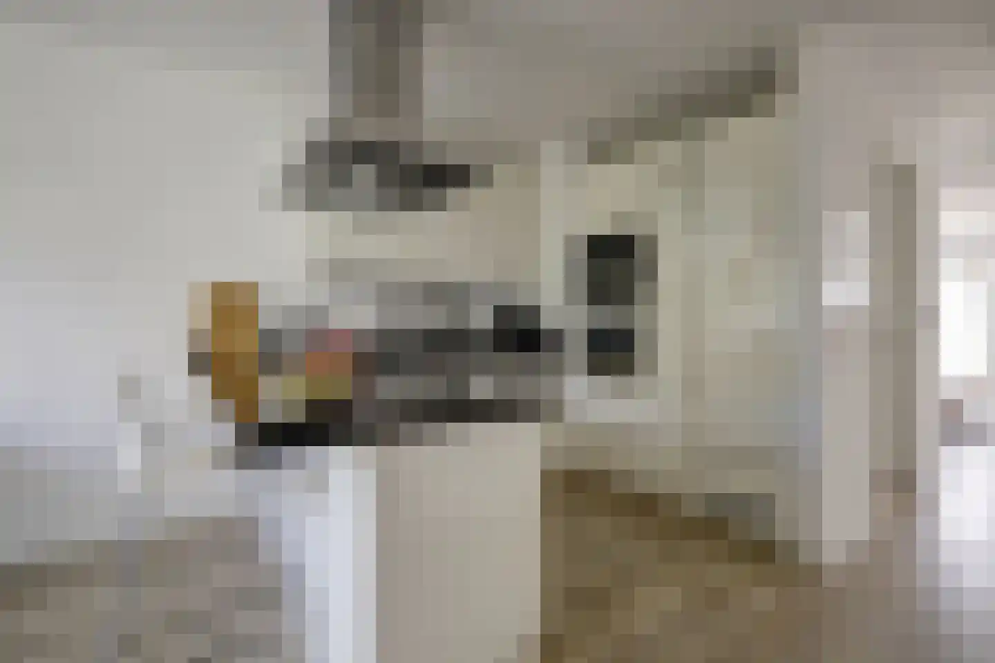 Zwiepseweg 11 Lochem thumbnail 4