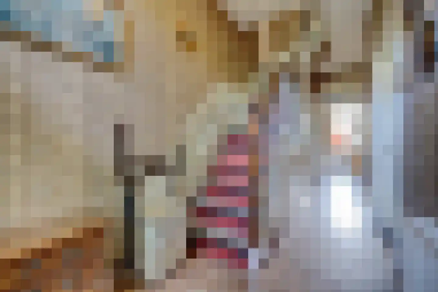 Zwiepseweg 15 Lochem thumbnail 12