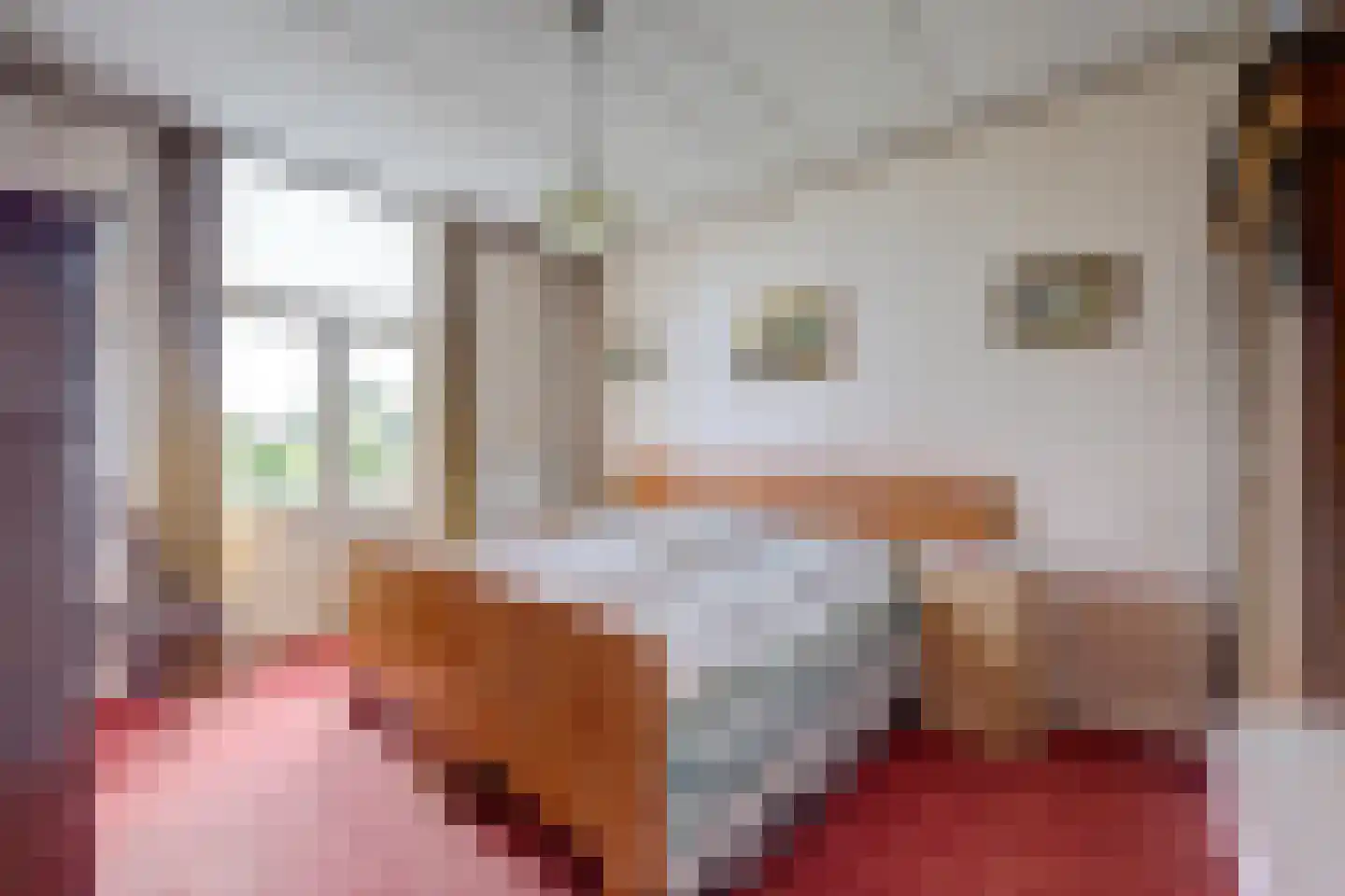 Zwiepseweg 15 Lochem thumbnail 14