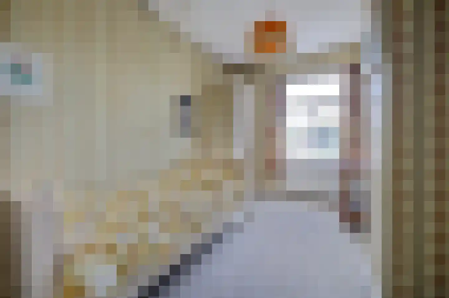 Zwiepseweg 15 Lochem thumbnail 17