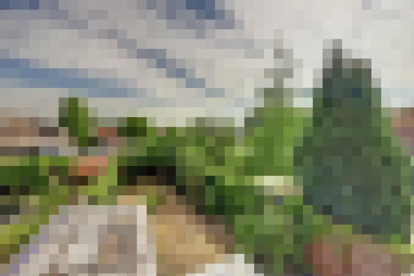 Zwiepseweg 15 Lochem thumbnail 22