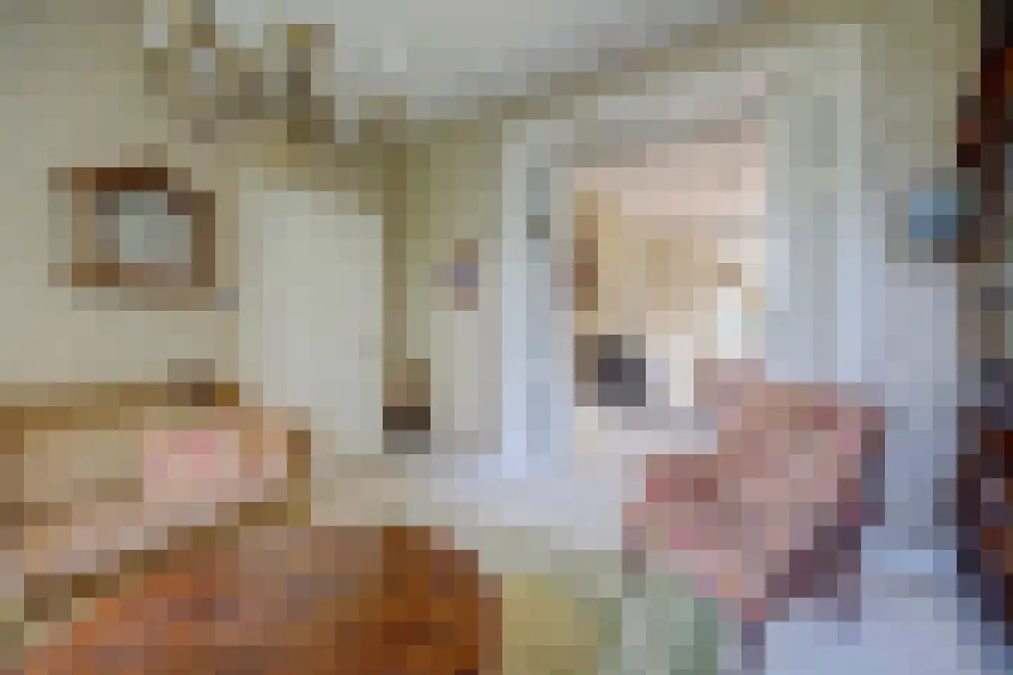 Zwiepseweg 15 Lochem thumbnail 5