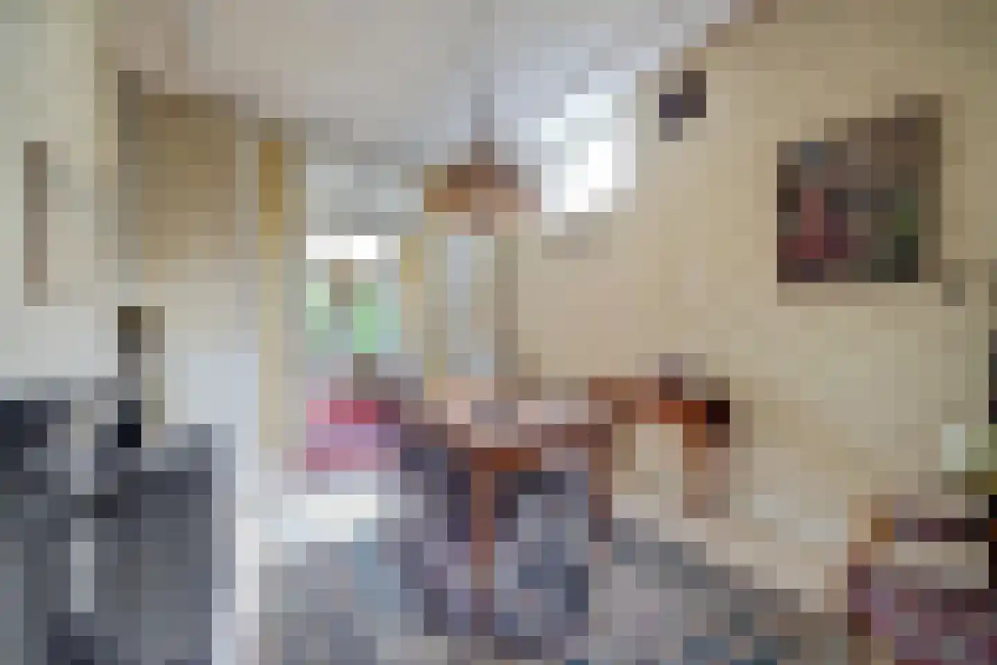 Zwiepseweg 15 Lochem thumbnail 7