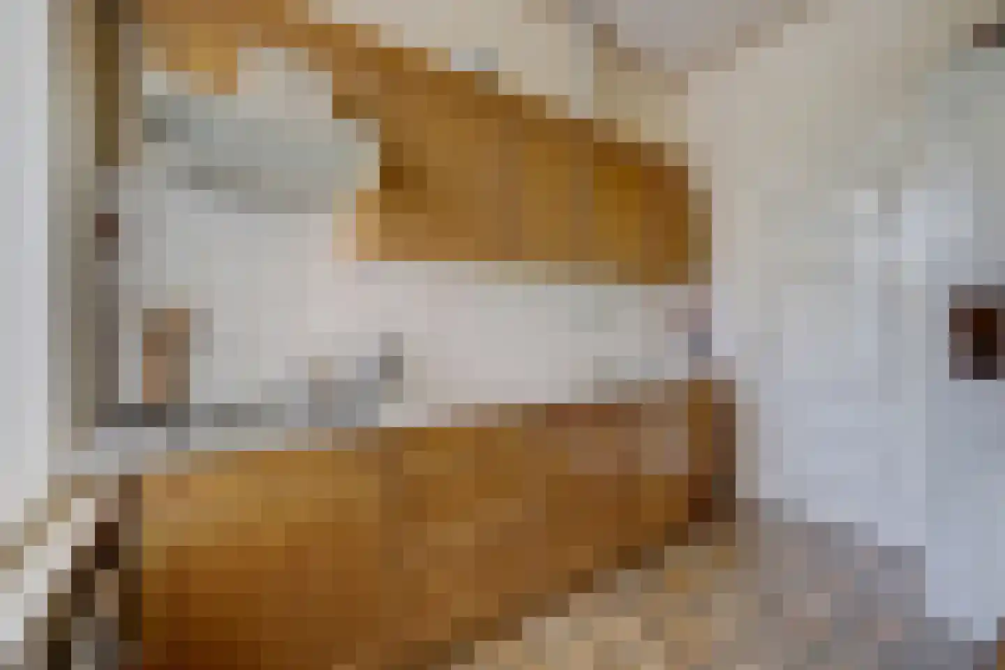 Zwiepseweg 15 Lochem thumbnail 9