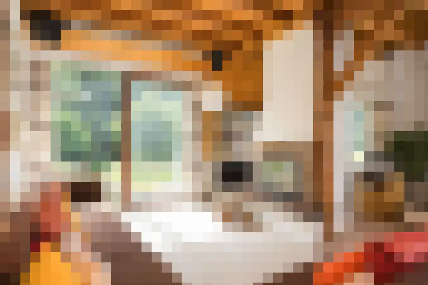 Zwiepseweg 152 Lochem thumbnail 15
