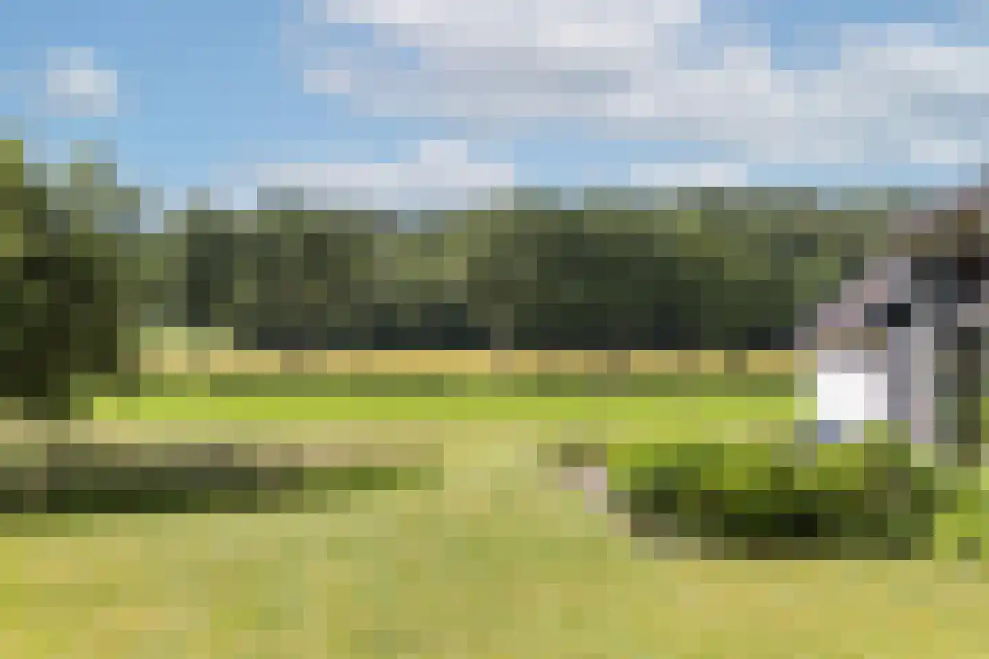Zwiepseweg 152 Lochem thumbnail 17