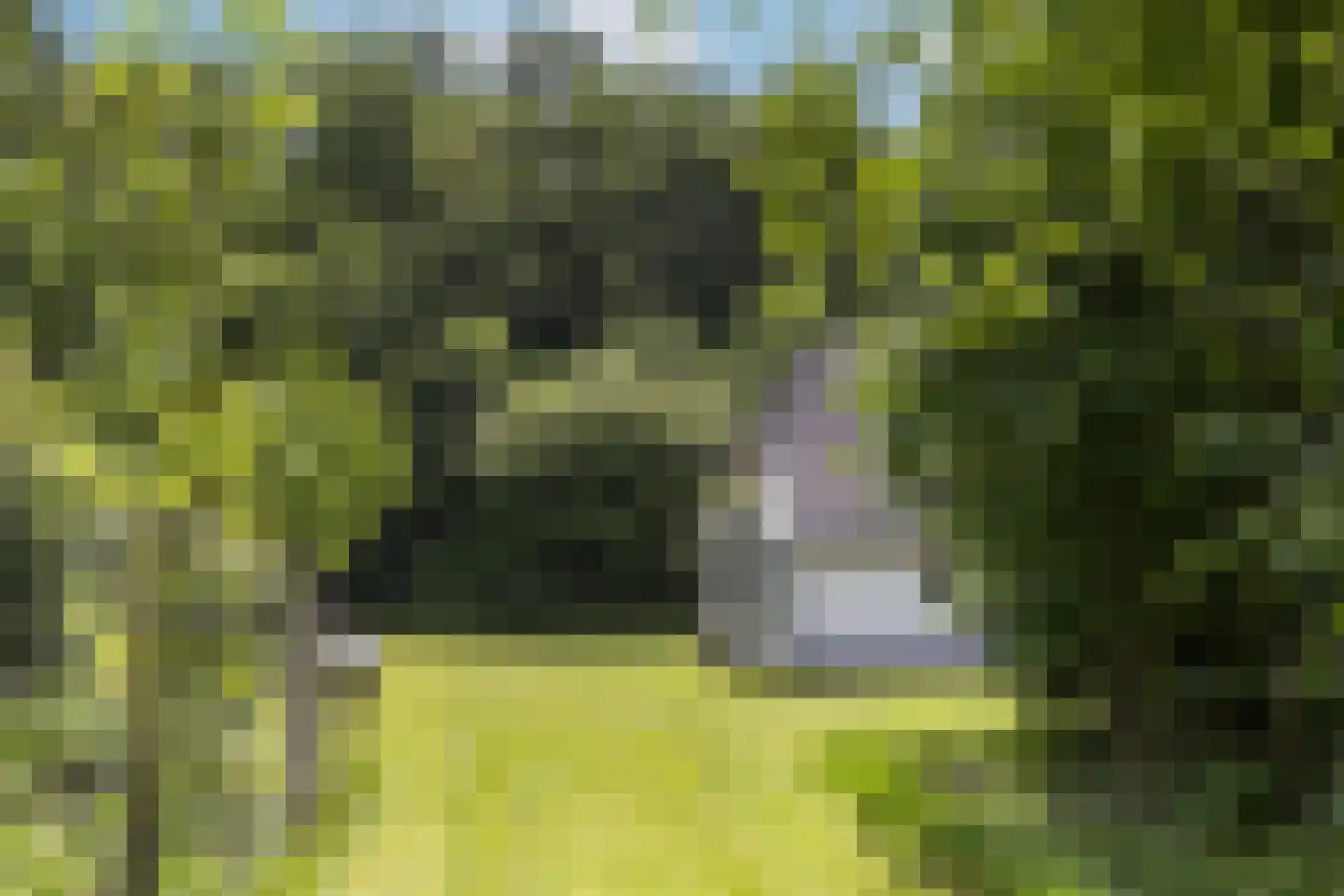 Zwiepseweg 152 Lochem thumbnail 35