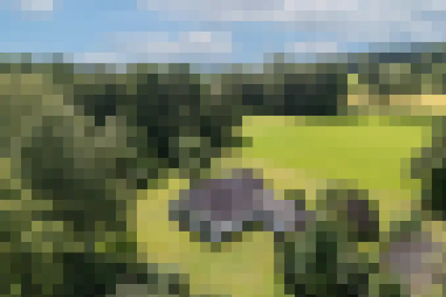 Zwiepseweg 152 Lochem thumbnail 40