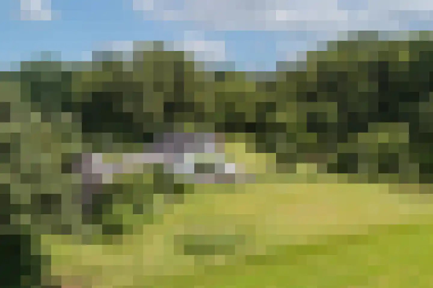 Zwiepseweg 152 Lochem thumbnail 41