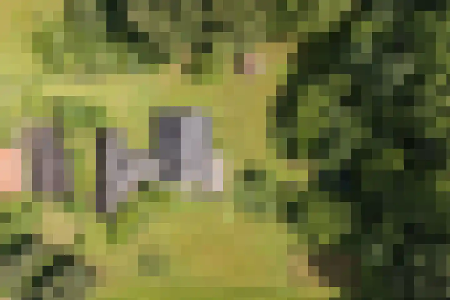 Zwiepseweg 152 Lochem thumbnail 42