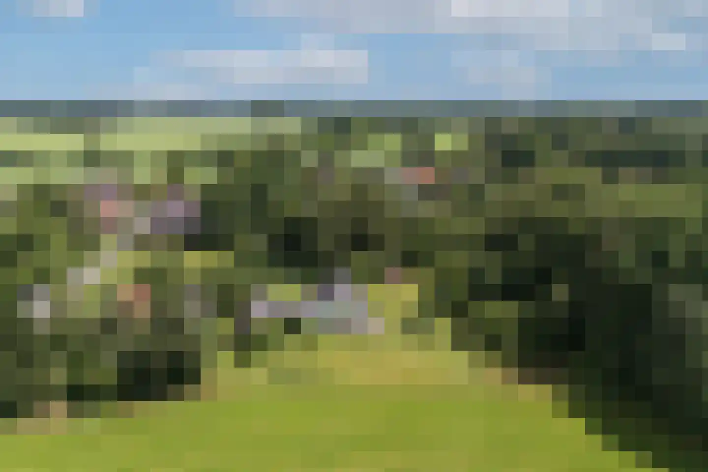 Zwiepseweg 152 Lochem thumbnail 44
