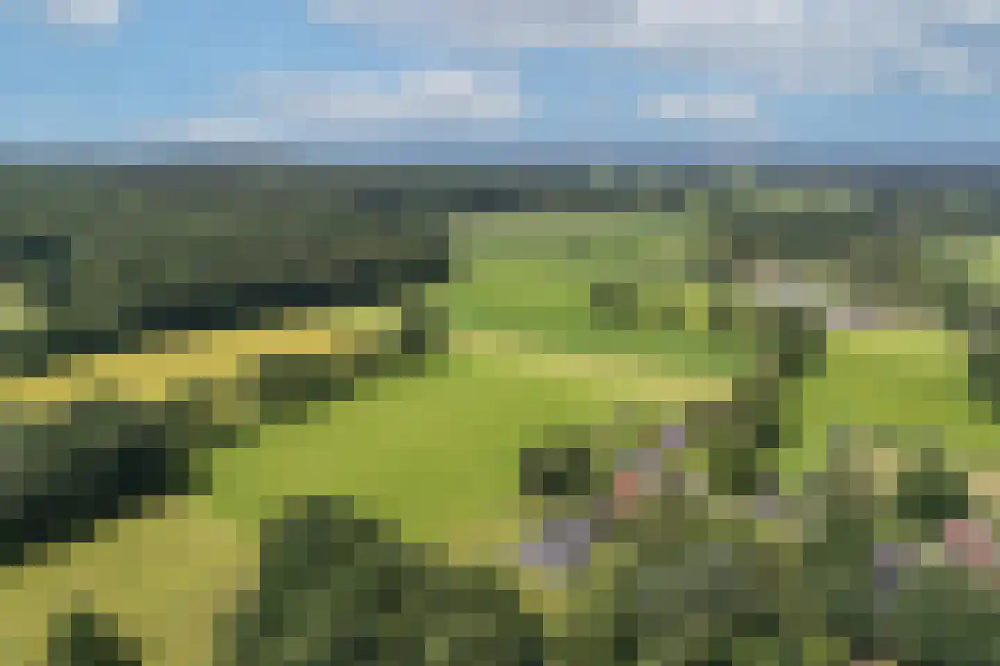 Zwiepseweg 152 Lochem thumbnail 45