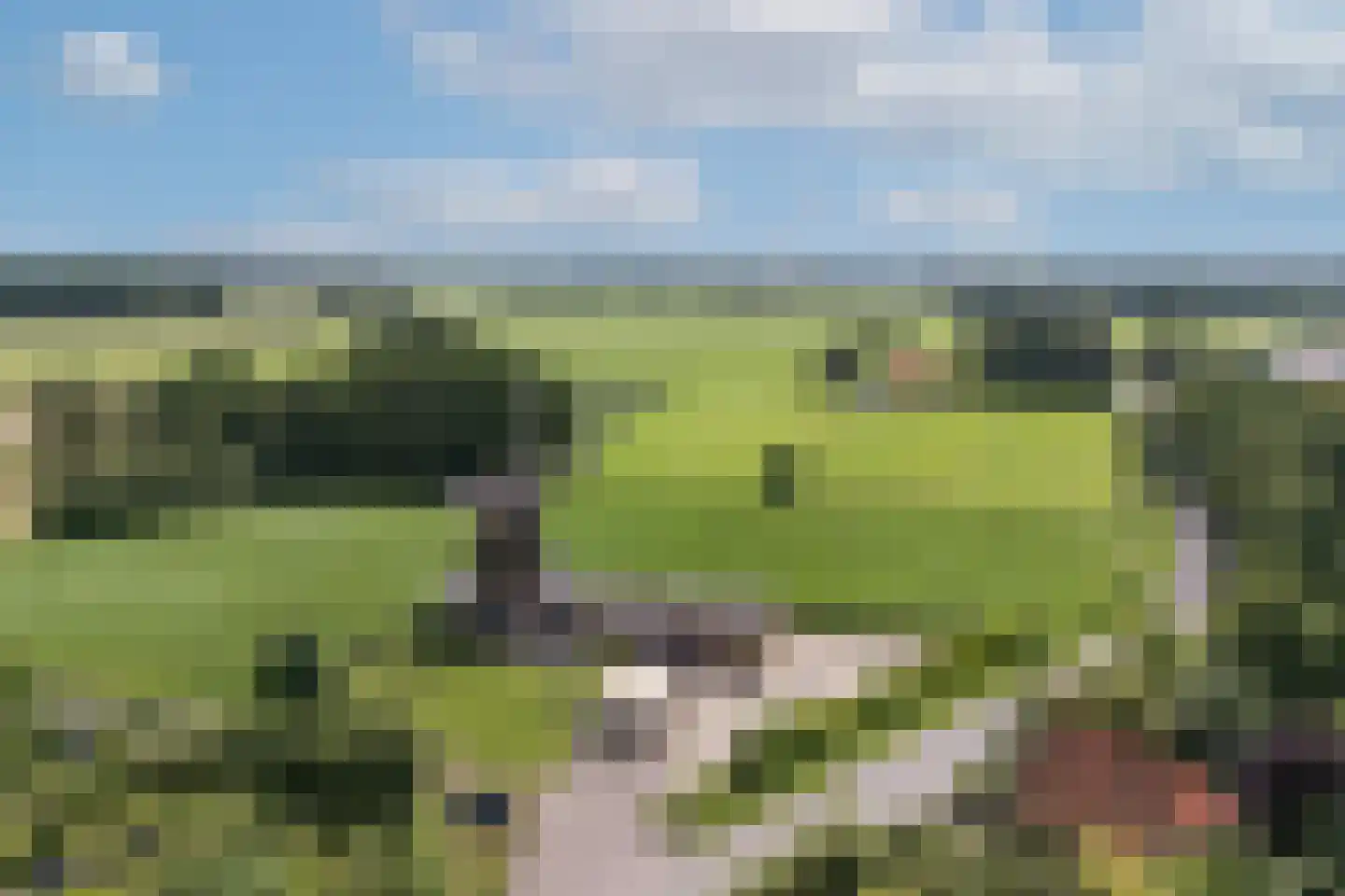 Zwiepseweg 152 Lochem thumbnail 46