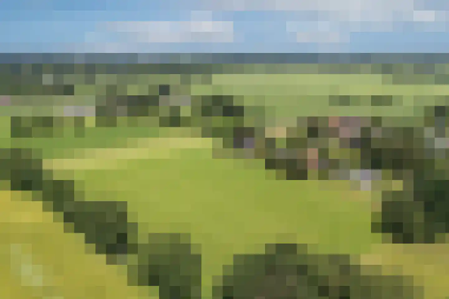 Zwiepseweg 152 Lochem thumbnail 47