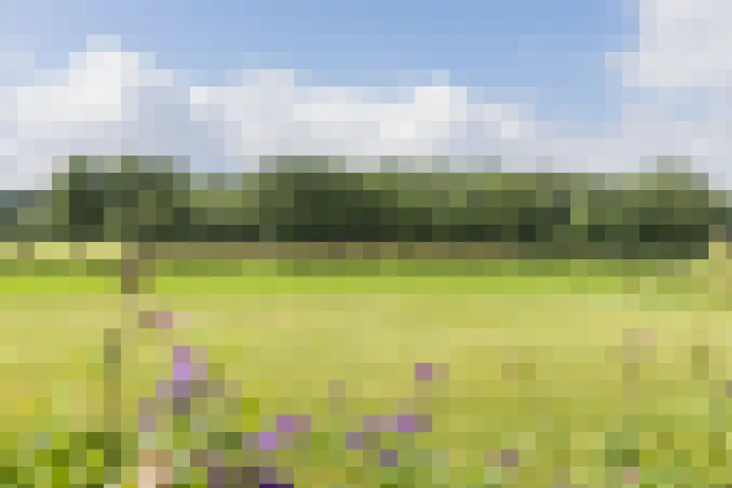 Zwiepseweg 152 Lochem thumbnail 48