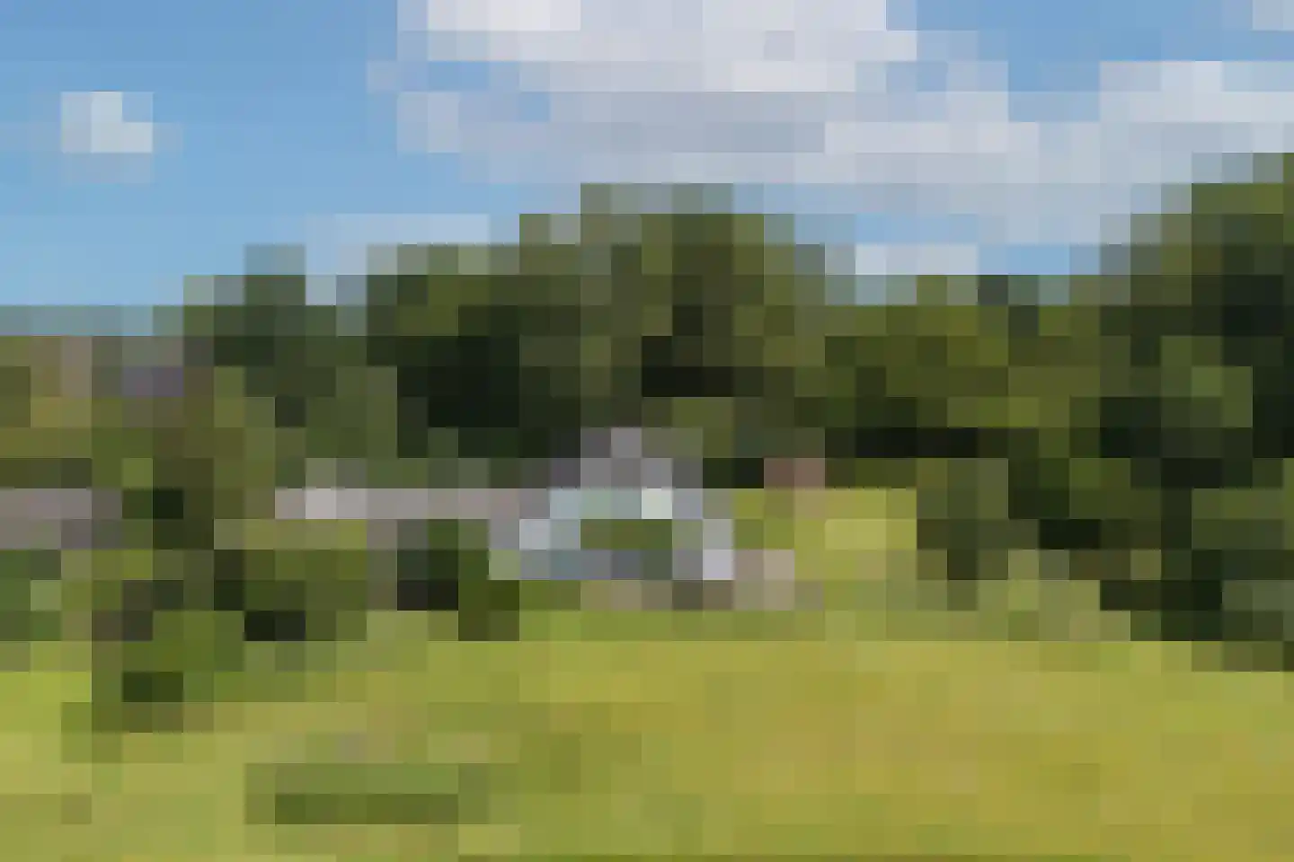 Zwiepseweg 152 Lochem thumbnail 49