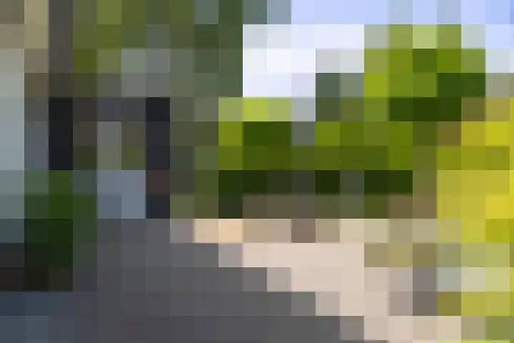 Zwiepseweg 153 Lochem thumbnail 20