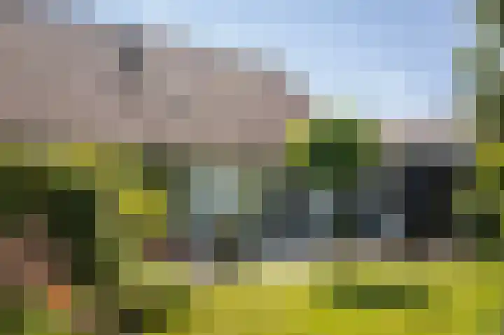 Zwiepseweg 153 Lochem thumbnail 35