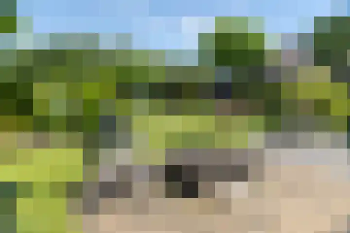 Zwiepseweg 153 Lochem thumbnail 36