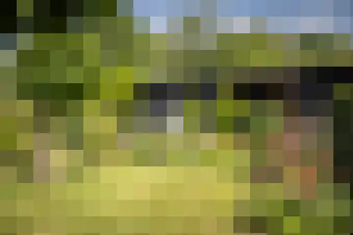 Zwiepseweg 153 Lochem thumbnail 37