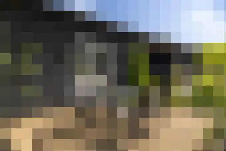 Zwiepseweg 153 Lochem thumbnail 38
