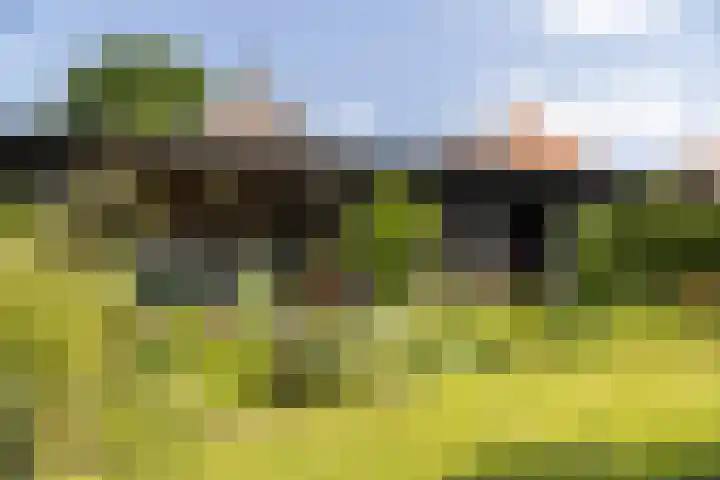 Zwiepseweg 153 Lochem thumbnail 39