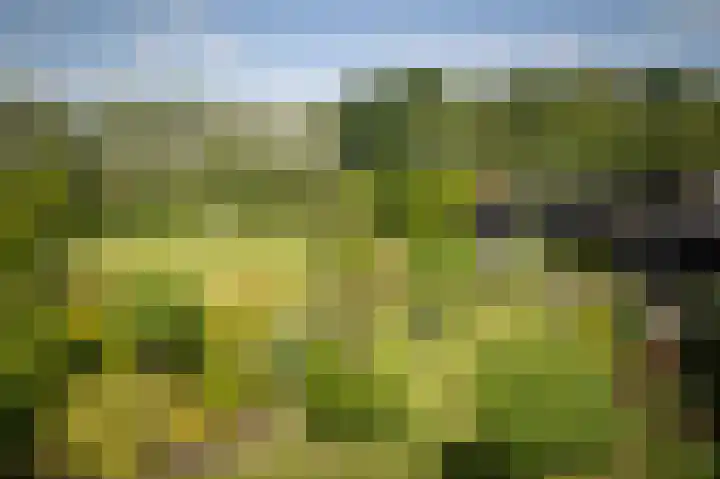 Zwiepseweg 153 Lochem thumbnail 4