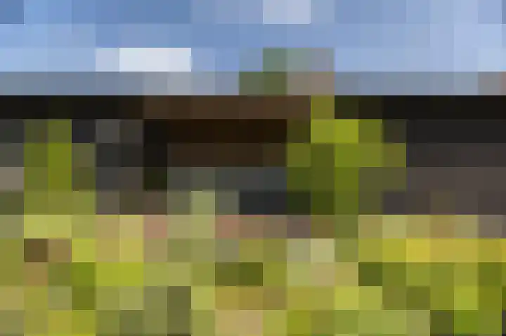 Zwiepseweg 153 Lochem thumbnail 40