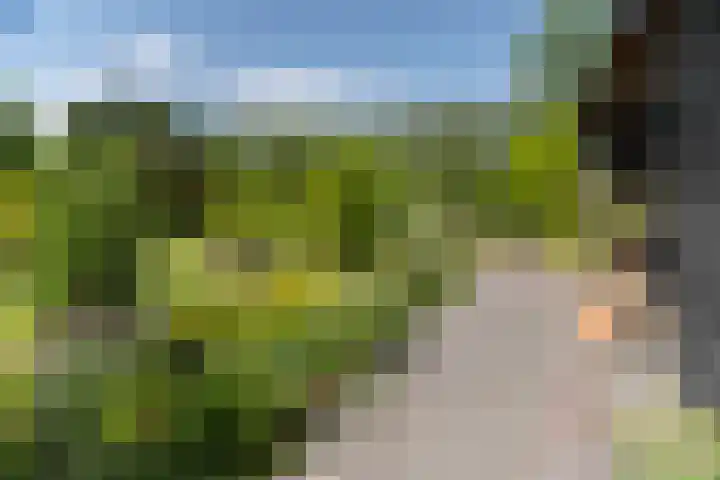 Zwiepseweg 153 Lochem thumbnail 42