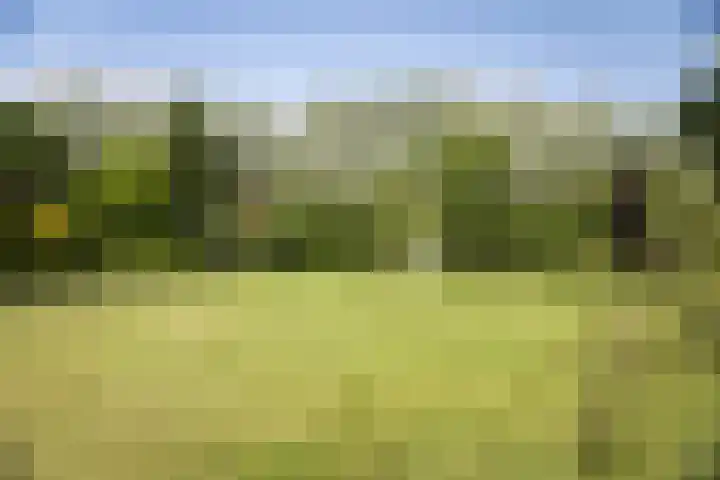 Zwiepseweg 153 Lochem thumbnail 43