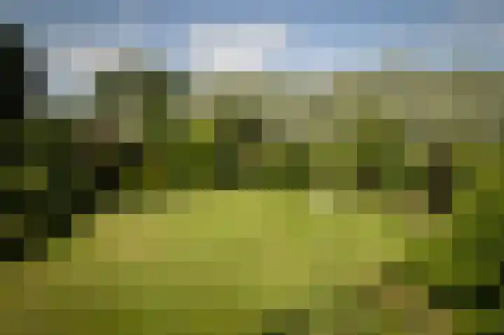 Zwiepseweg 153 Lochem thumbnail 44