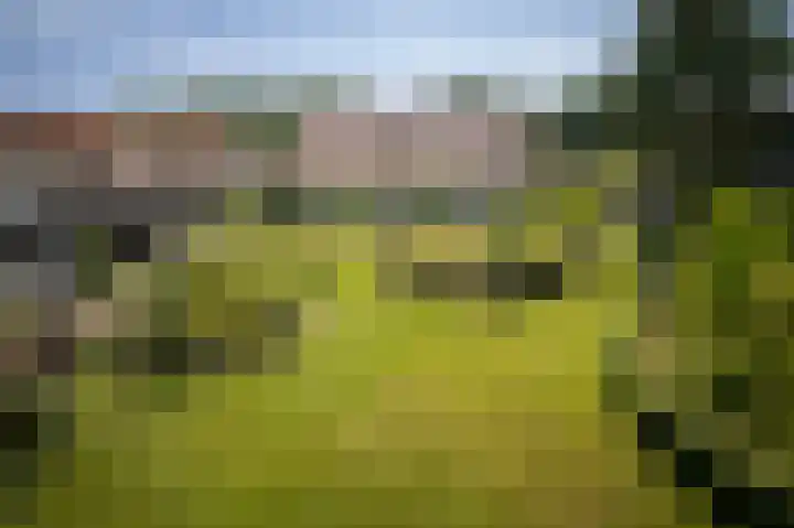 Zwiepseweg 153 Lochem thumbnail 45