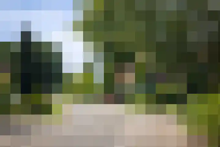 Zwiepseweg 153 Lochem thumbnail 48